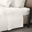 Raffaello Sheet Set-36504312-36504314
