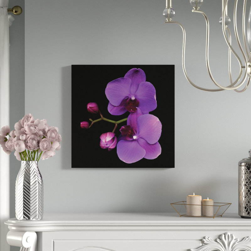 La couleur mauve, reproduction de photo sur toile tendue, H 16 po x l 16 po x P 1 po, Papier avec cadre noir, Blanc