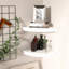 Lajada 2 -Piece Corner Shelf