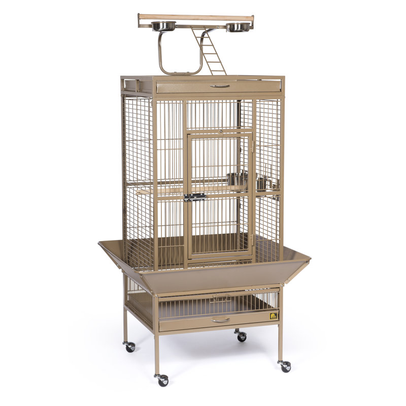 Cage à oiseau avec roues, support, perchoir, plateau Lucile, Coco, Grand (H 63 po x l 22 po x P 30 po)