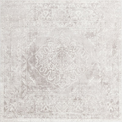 Malayna Oriental Indoor Rug