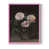 Rose n'est pas disponible