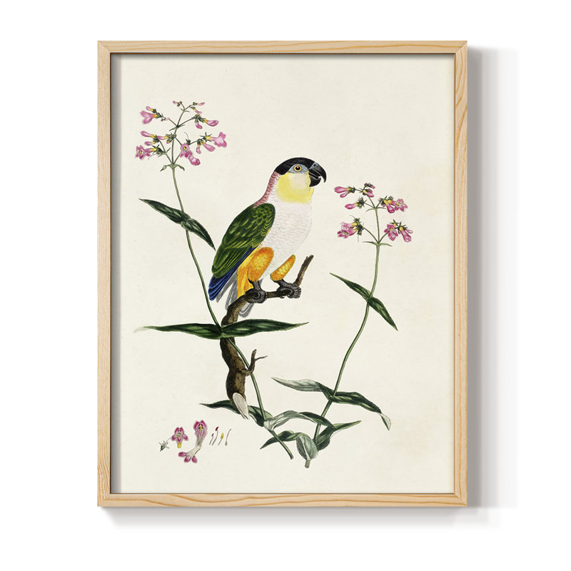 Bird in Habitat IV, reproduction encadrée - bois massif, H 30 po x l 24 po