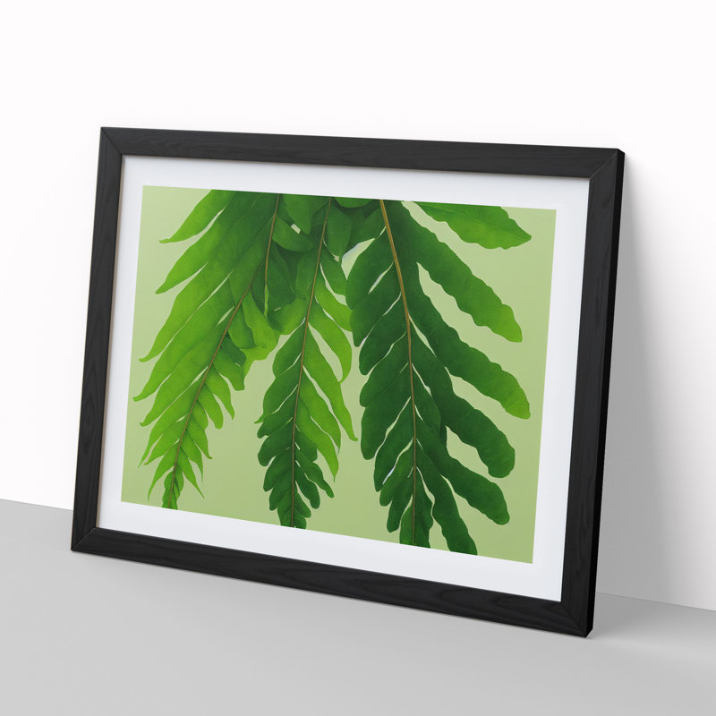 Unusual Fern Leaf - Framed Print, Black, 46cm H x 64cm W x 2cm D
