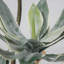 Agave artificiel en pot 62,08 po-97863913