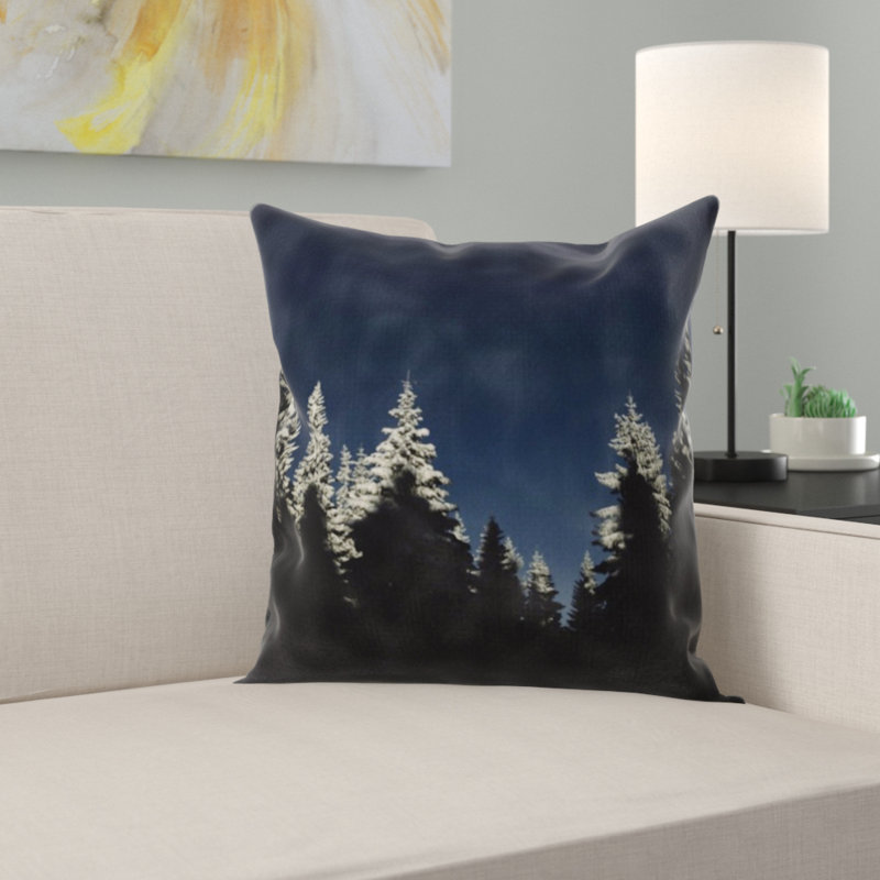 Coussin décoratif froid