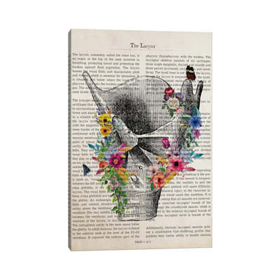 Larynx Anatomy Print - Wrapped Canvas Graphic Art