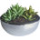 Pot Planter