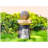 Outdoor Garden Lantern Light With Warm LED Leaf Silhouette Decorative Landscape Lamp For Patio Yard Lawn Pathway Deck