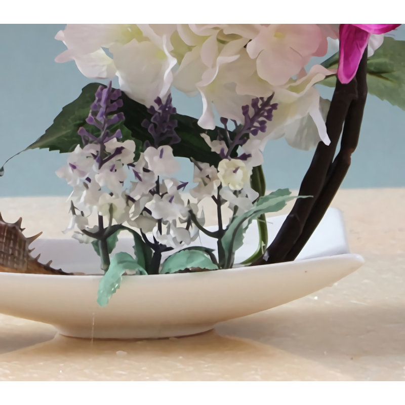 Orchidée papillon