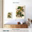 Perruche Brampt Carolina-108247927