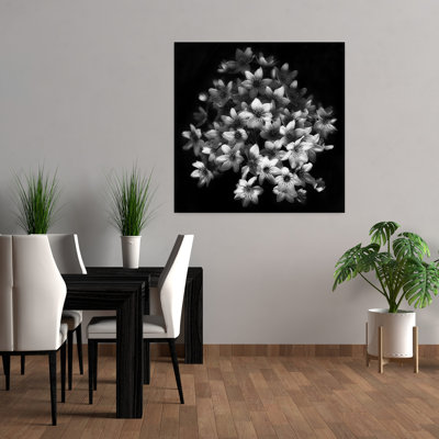 «Graceful Floral Cluster», art dramatique délicat, plante naturelle