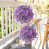 Purple is out of stock