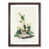Walnut Framed selected