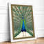 Peacock in Display Botanical - Framed Print-2032980371-2032980360