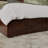 Amison Solid Wood Platform Bed-1451954943