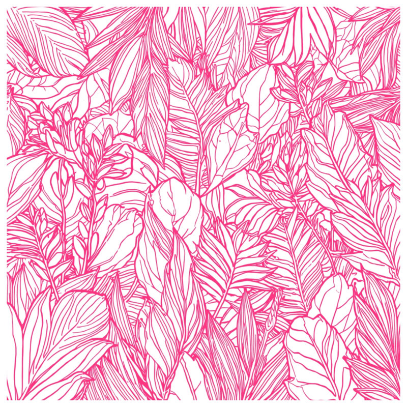 Coussins roses, 14 X 14 pouces
