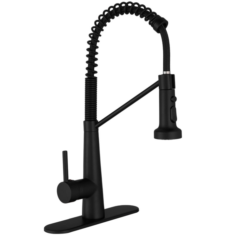 Single-Handle Pull-Down Sprayer 2 Spray High Arc Kitchen Faucet, Matte Black