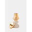 Gambit Ceramic Decorative Bottles
