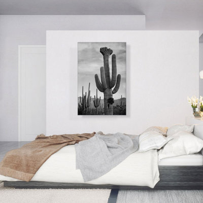 Full View Of Cactus Saguaro National Monument Arizona by Ansel Adams - Wrapped Canvas Print