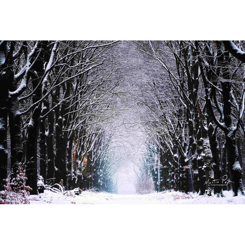 " Winter Tunnel " by Martin Podt, 8" H x 12" W, Wrapped Canvas