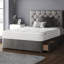 Farallones Upholstered Velvet Headboard-1816471893-1816471903
