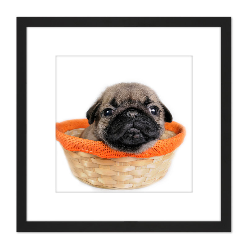 Puppy Dog Basket Cute - Single Picture Frame Painting