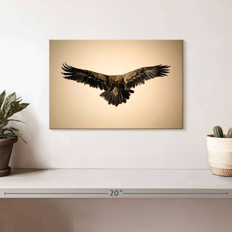 Soaring Tawny Eagle, 8" H x 12" W