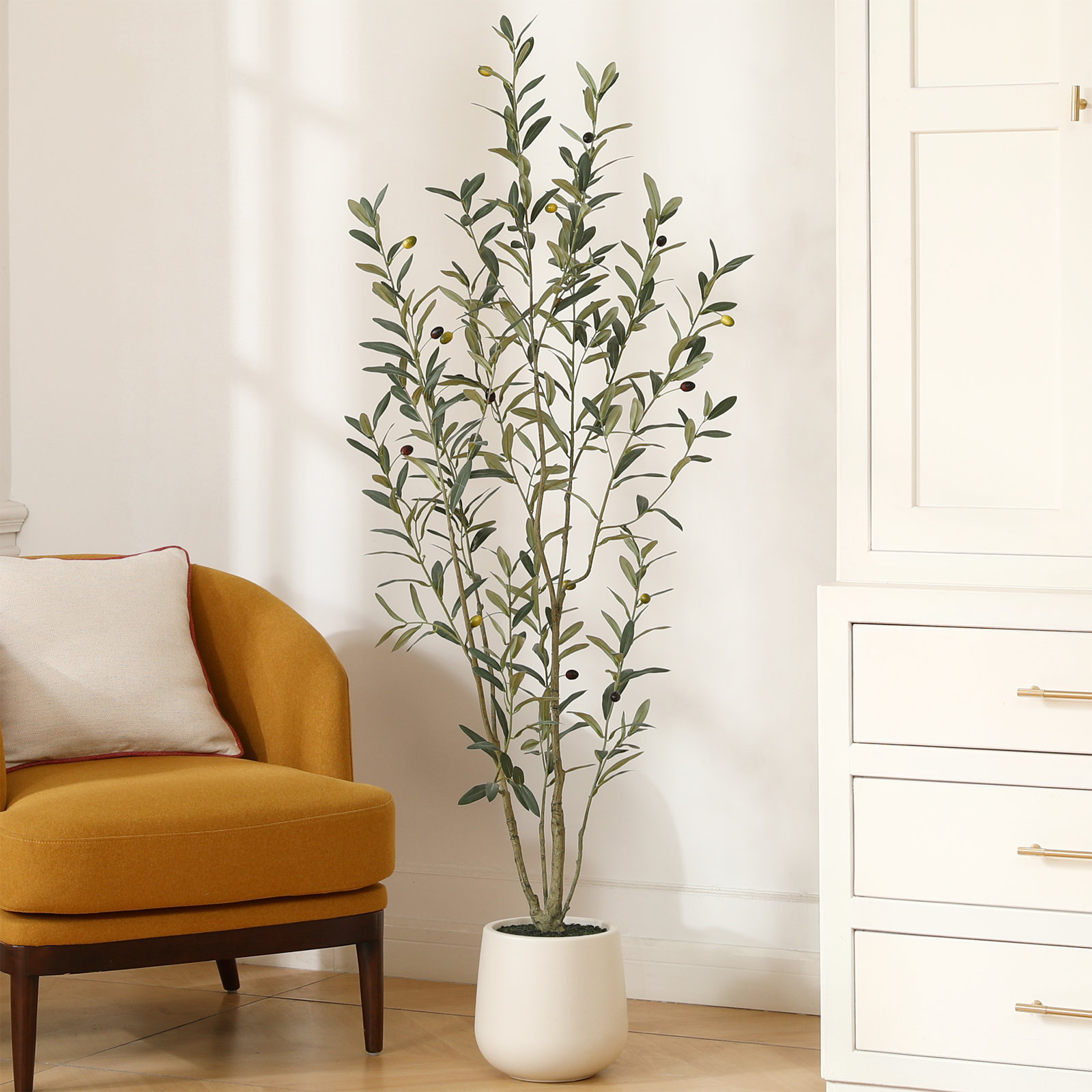 George Olive Tree in Pot, 60" H x 20" W x 20" D