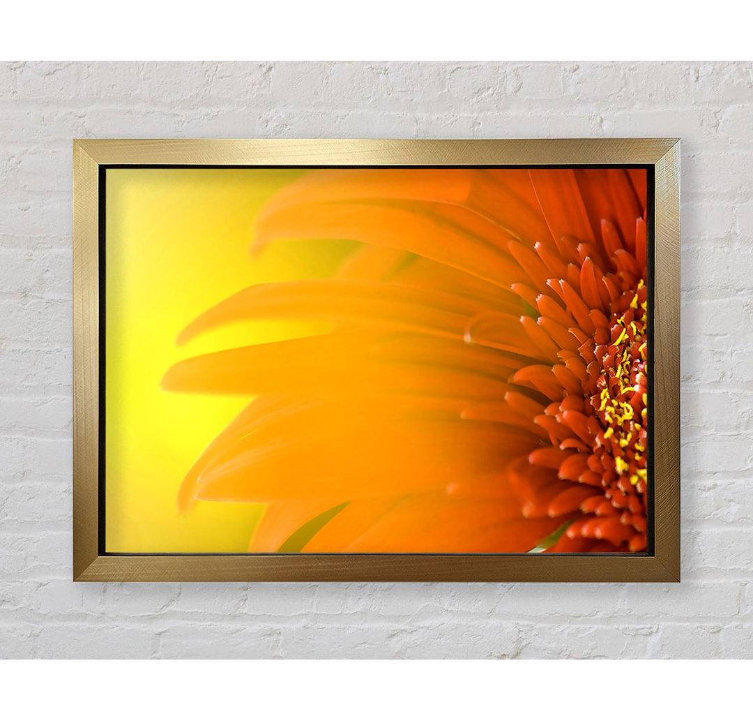 Orange Flower Mist - Einzelner Bilderrahmen Kunstdrucke