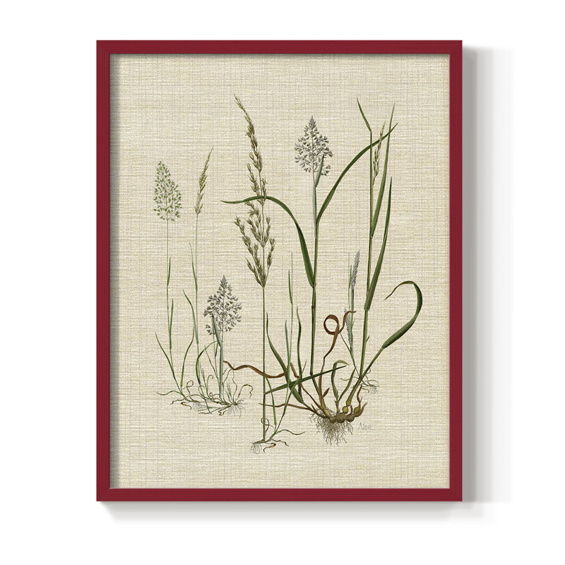 Linen Graminées II, reproduction encadrée - bois massif, Rouge, H 10 po x l 8 po