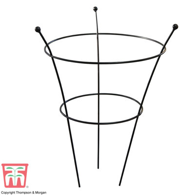 Cloquet Metal Plant Support
