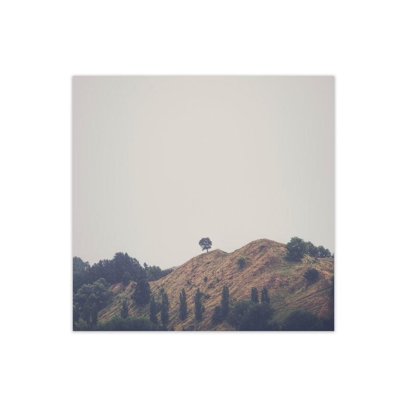 Tree on Top 1 Piece Wall Art, 60 cm H x 60 cm W x 3 cm D
