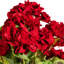 Buisson de géranium artificiel 18 po Kimberlee-1772900939
