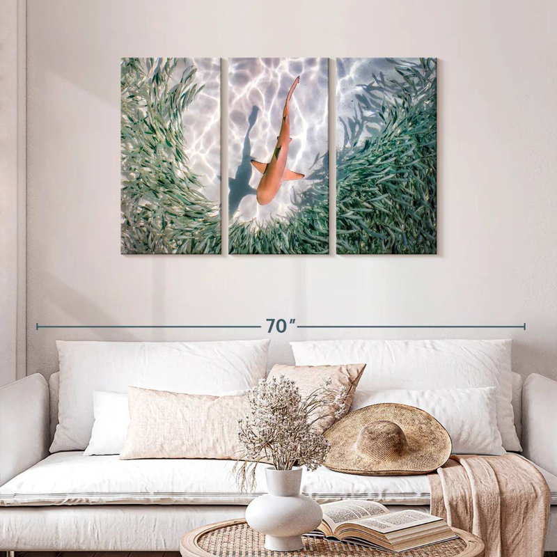 Brampt Baby Blacktip Reef Shark, 28" H x 45" W