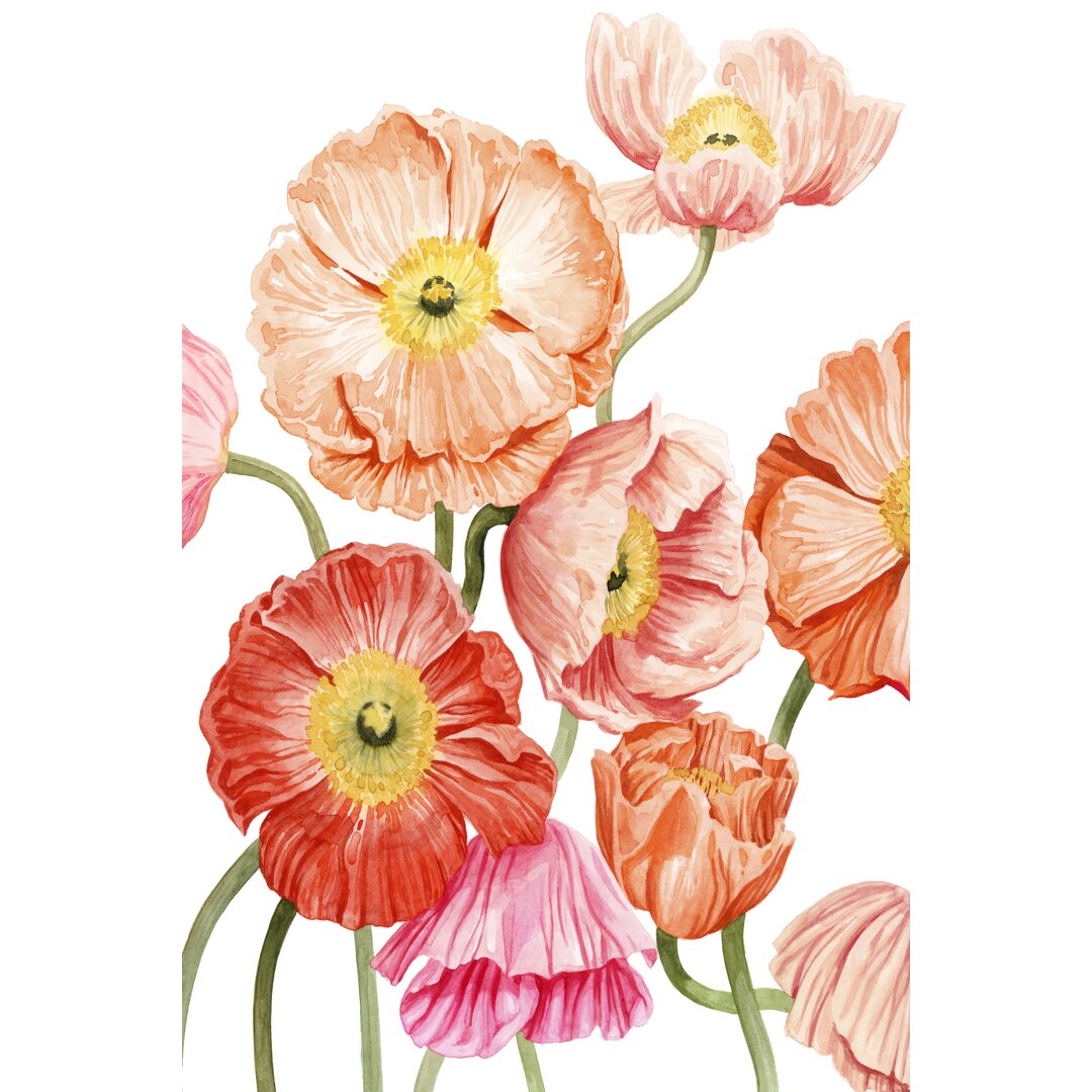 Leinwandbild Bright Poppies I von Grace Popp