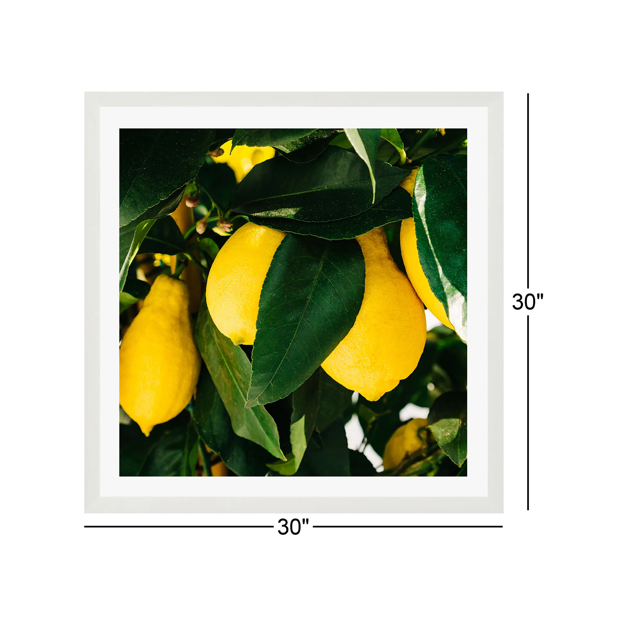 Amalfi Coast Lemons by Bethany Young Photography, White Single Picture Framed, 30" H x 30" W x 0.75" D, Yes