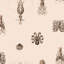 Wallpaper Double Roll-1367124296-1367124336