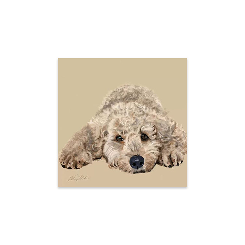 Labradoodle, impression sur verre acrylique, H 24 po x l 24 po x P 0,25 po