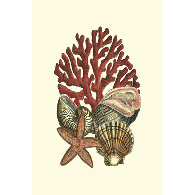 Corail Medley I