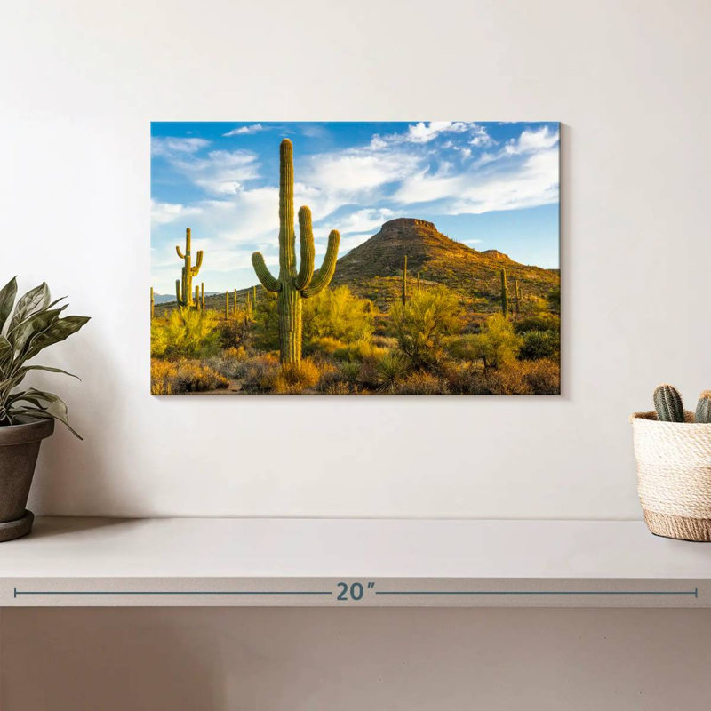 Alvord, Arizona, désert, soleil, H 8 po x l 12 po