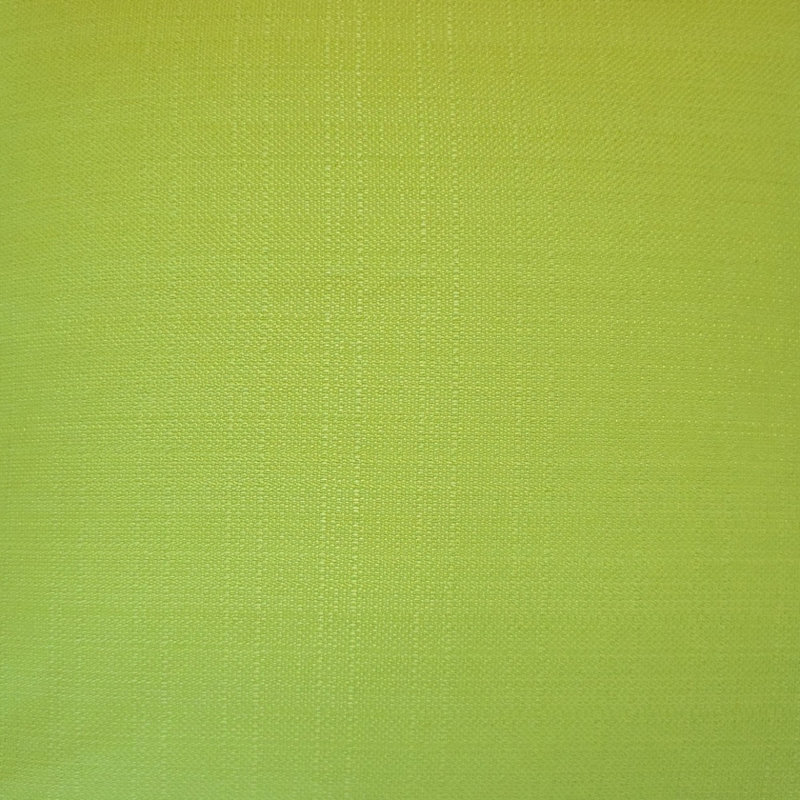 Coussin décoratif intérieur / extérieur Brisyn, Hauteur (18 po) x largeur (18 po), Vert