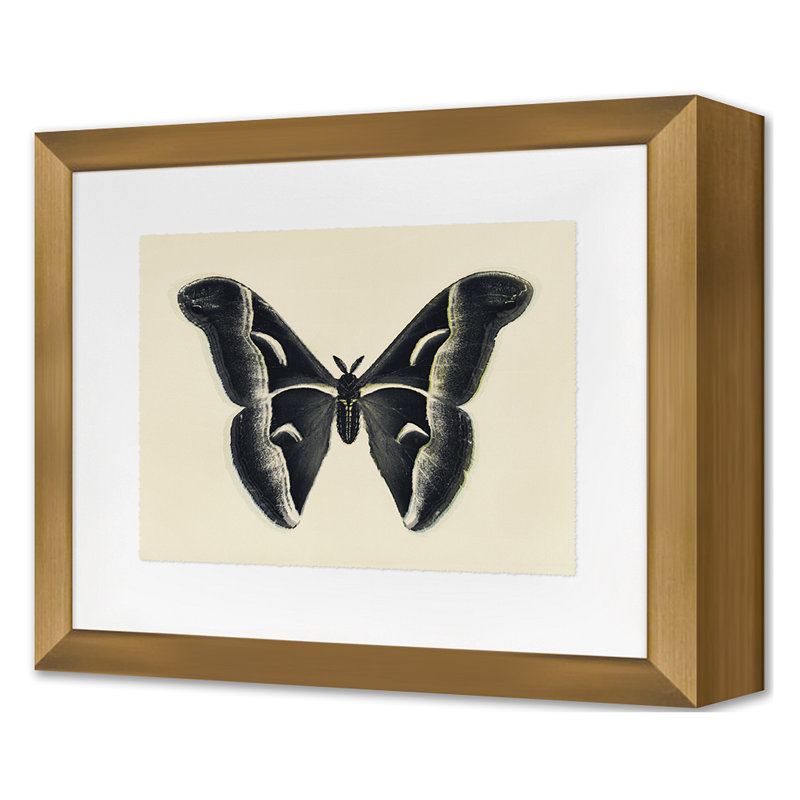 Flutter 3 Print by Todaro, Katie
