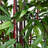 Bamboo Tree with Planter-1223083804