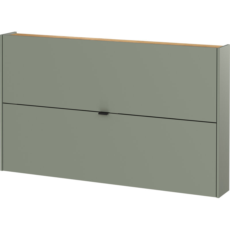 Nyack Shoe Storage Cabinet, Green