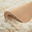 Non-Slip Plush Shaggy Cream Rug-1296067373