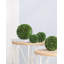Topiaire buis-1293450512