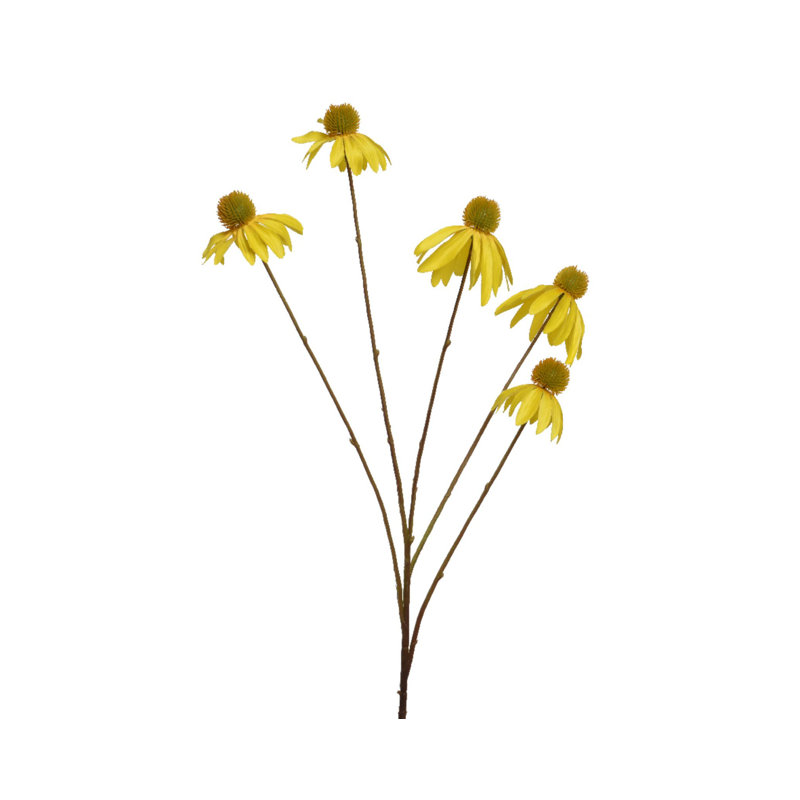 Arrangement, Yellow