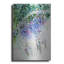 «Wisteria» par Rita Shimelfarb
