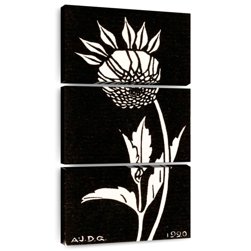 Dahlia 1920, H 27 po x l 12 po